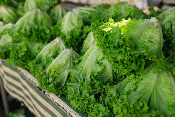 Conseils et astuces pour bien choisir sa friteuse